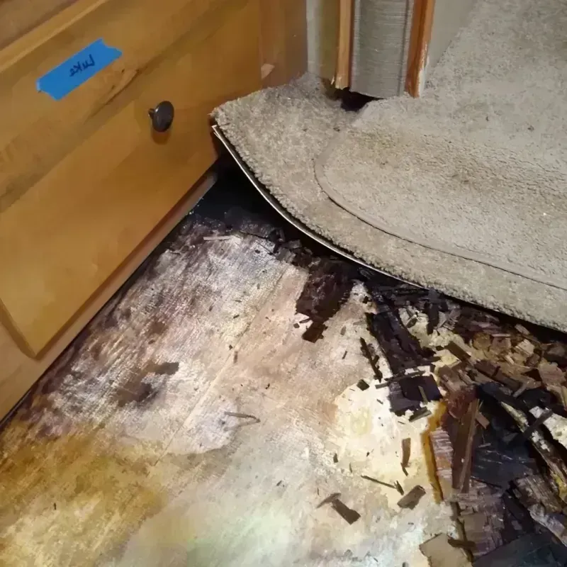 Best Wood Floor Water Damage Service in Aiken, SC